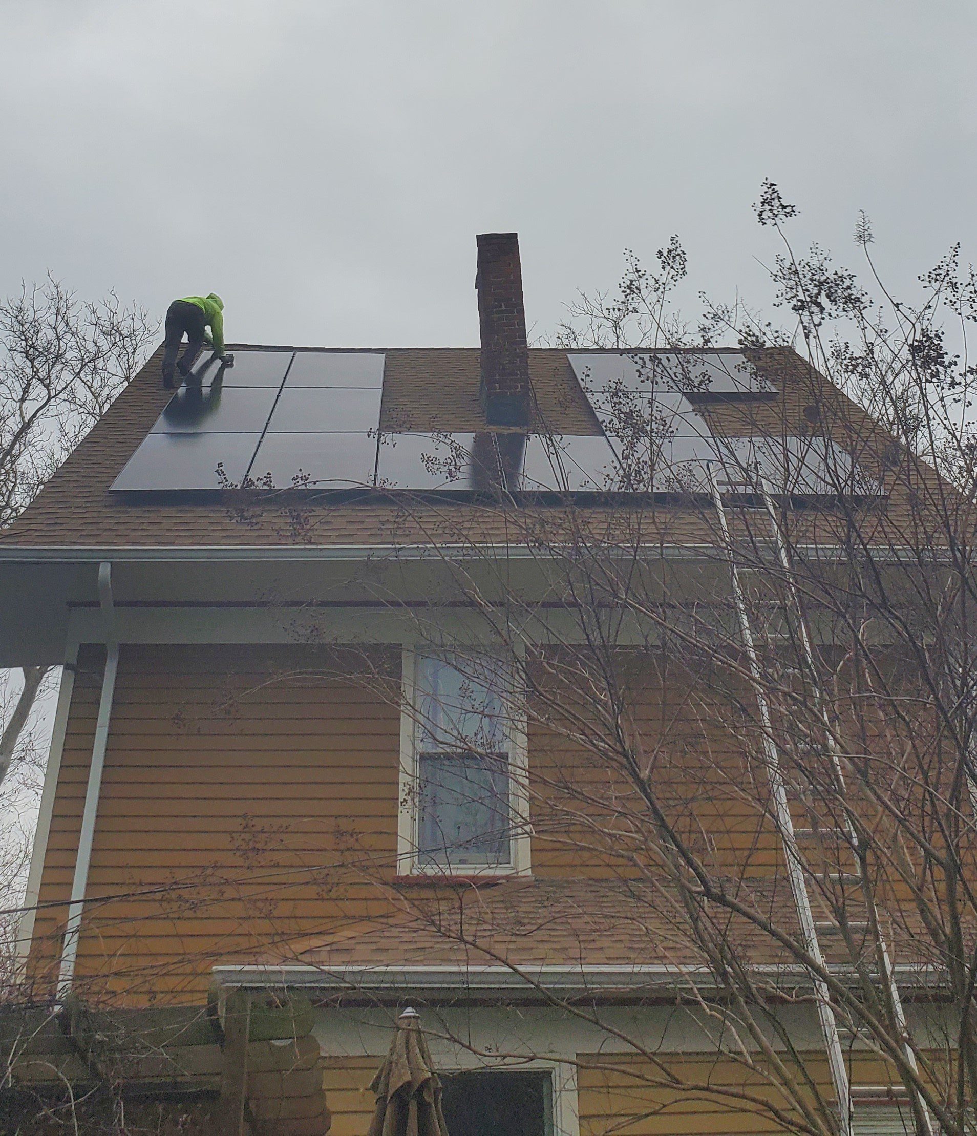 My Projects – Midwood, Brooklyn, New York (Image 1)